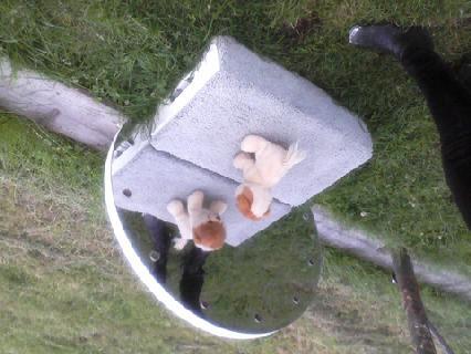 Louis Doulas (@louisdoulas) on Twitter photo 