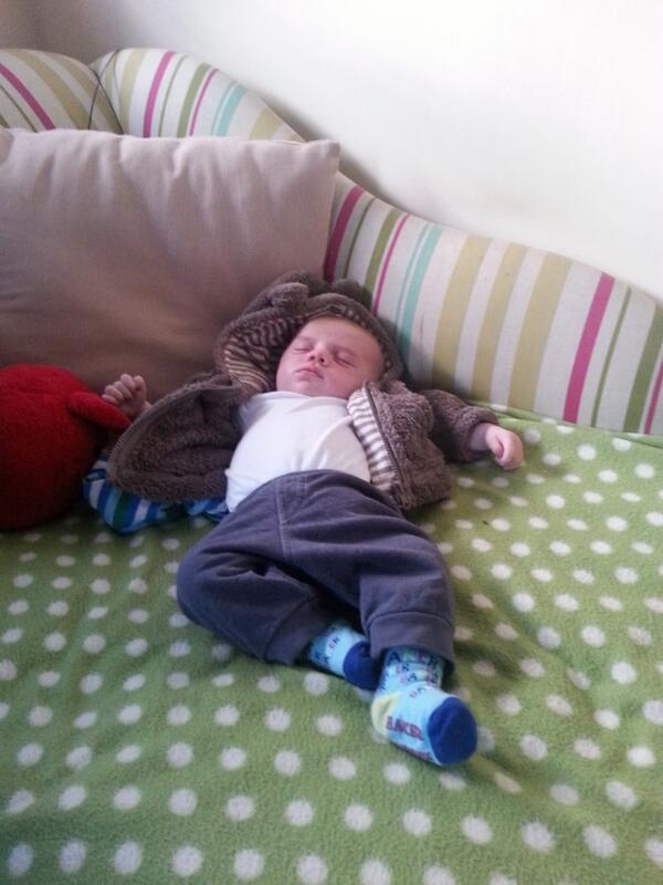 wigoflymm's tweet photo. @Cathoflymm lukey cream crackered after dog walk! http://t.co/gaLNziEQvN