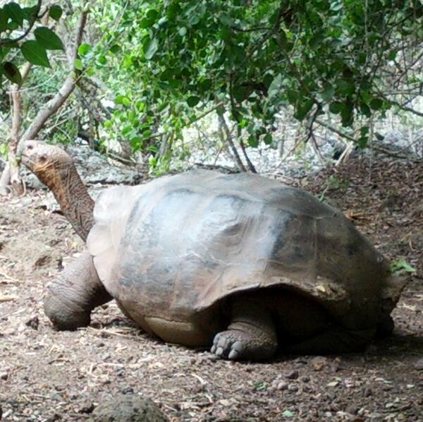 EnvironmentUNC tweet picture
