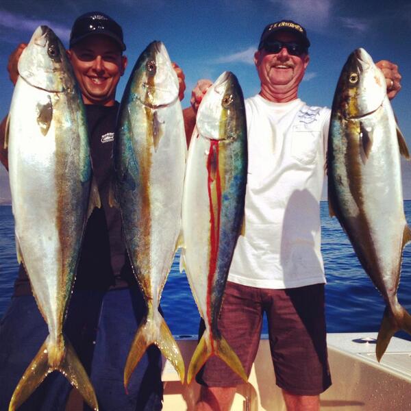SeasonsFishing's tweet photo. Good day on the yellows for the guys today. This was day 1 of there 2 day charter. They will be back the morning!!! http://t.co/Z6VosqRGKp