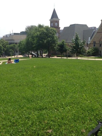 swegleitner's tweet image. I'm not not dumpin' em out on #Bascom #dumpingzone