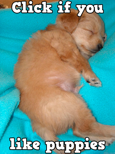 StallionDiva's tweet photo. Play Bingo with Friends! #ilovebingo #BingoRun http://t.co/ggzSuqGam1 http://t.co/NQjGhBYbis