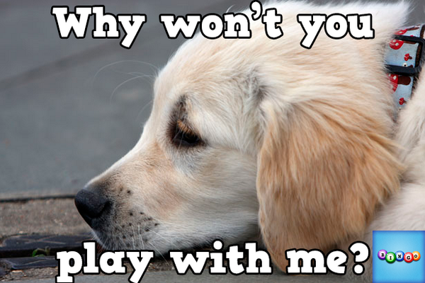 StallionDiva's tweet photo. Play Bingo with Friends! #ilovebingo #BingoRun http://t.co/E0Vx4iy5ZS http://t.co/FhIrnLkrum