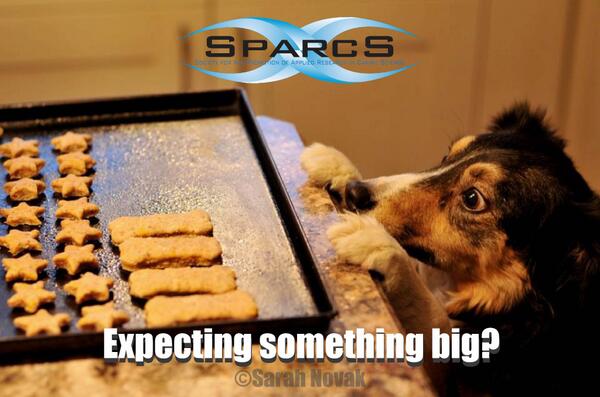CanineScience's tweet image. Getting excited? So are we! #SPARCS2013 #behavior #caninescience