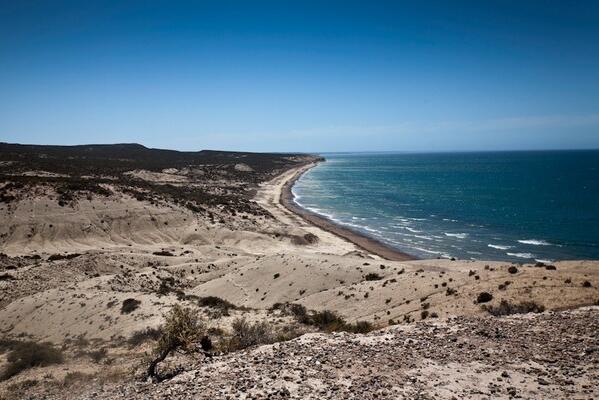 Patagonian shore...