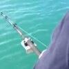 richardlamens's tweet photo. Dumpert - Dumpert vis-TV (http://t.co/IdR5yCQulr) http://t.co/Lv952JuerL