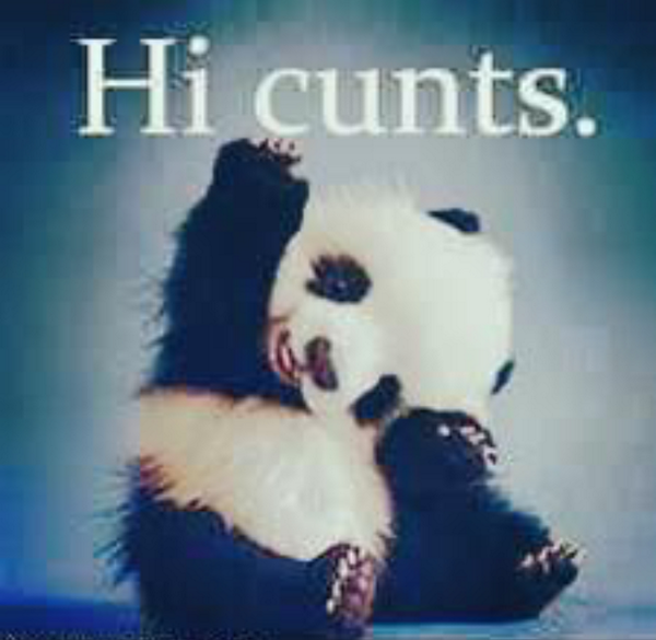 Jackson_P_Russo's tweet photo. #thatsall http://t.co/BPdEGi5K0n