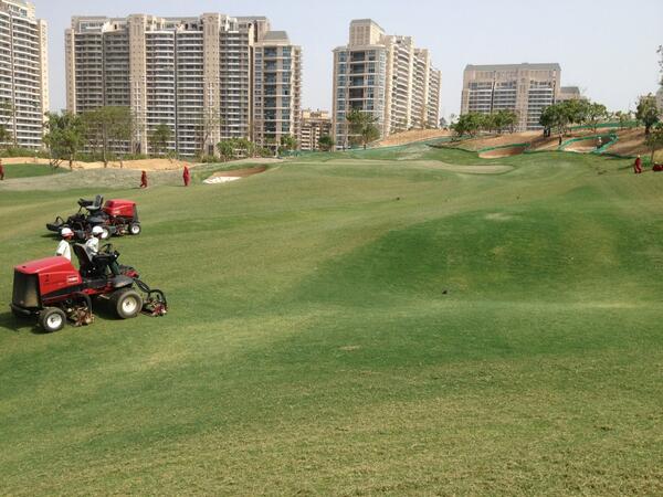 David B Mathews tweet media