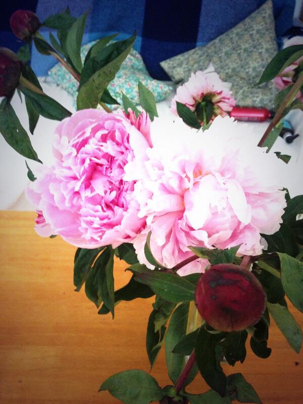 hoxbot's tweet photo. RT @Liberty_Sian @Liberty_Izzy Addicted too - got these at Columbia Road on Sunday - 2 bunches for £5! http://t.co/CEaIJWHVsT