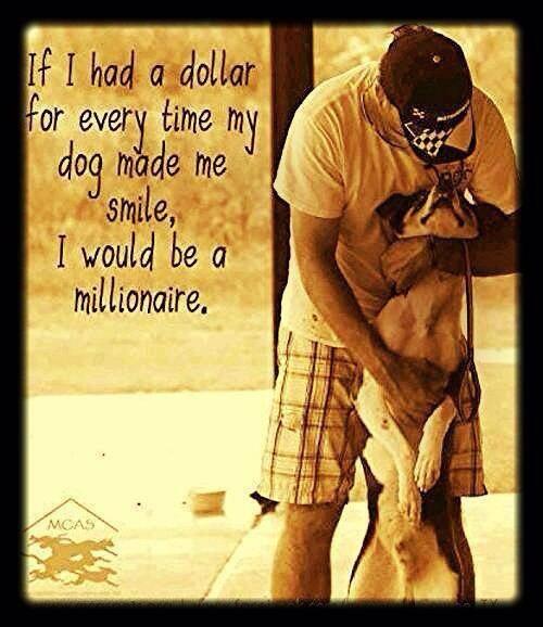 carolina coonhound  tweet media