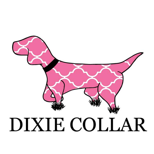 DixieCollar's tweet photo. ladies, don't think we've forgotten about you! make sure to order one of our Dixie Belle Print shirts. http://t.co/mm5ogO2Vqg