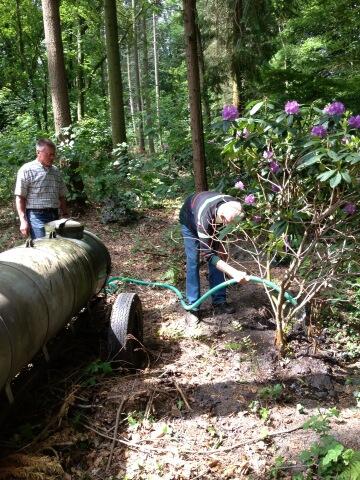 Verkoeling voor rhodo's !