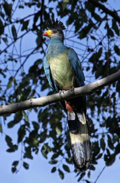 balimigos's tweet photo. "The bird of time has but a little way to fly...and the bird is on the wing. http://t.co/fHZb5Fq49i