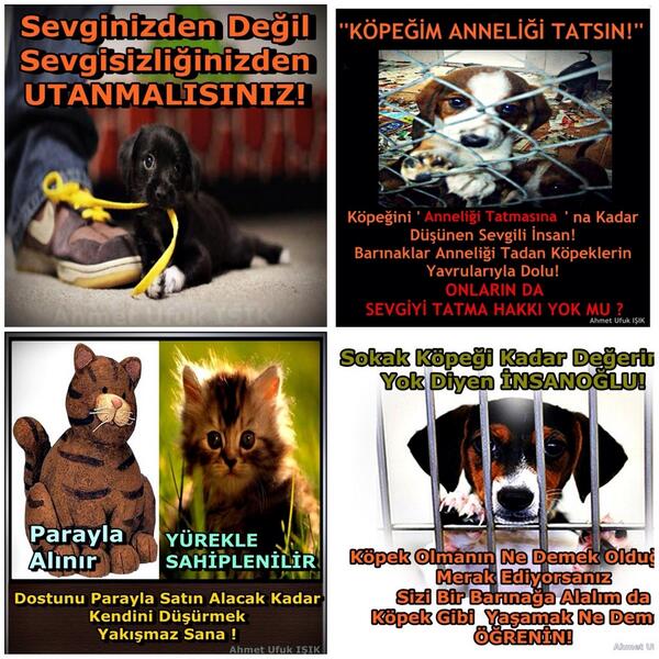 <a href="/ccyurekli/">Cansu C Yurekli</a> <a href="/YILDIZ_1717/">Yildiz Siren</a> <a href="/Moorkedi/">Mor Kedi ™</a> <a href="/CihangirliHamdi/">Cihangirli KaraHamdi</a> <a href="/Haykodep/">Haykodep</a> <a href="/HaykodepOffical/">Haykodep_Offical</a> <a href="/esraca/">AYSESRA♋</a> @zuzu_pati <a href="/zllktlr/">Zülal Kutluer</a>