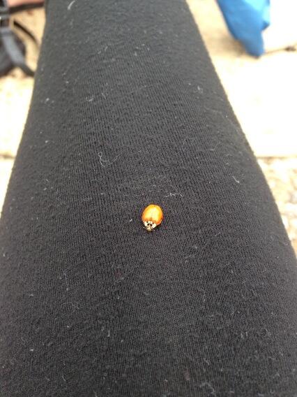 Jamee5427's tweet image. Today's our lucky day...meeting the kids #nkotb #vipafterparty #thepackagetour