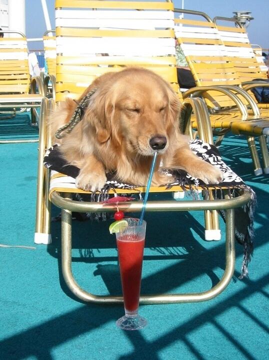 Momdailytips1's tweet photo. Top 60 Things You Absolutely Have To Do This Summer (mom daily tips) - http://t.co/XIcPy7T38a http://t.co/U5h8BCjl01