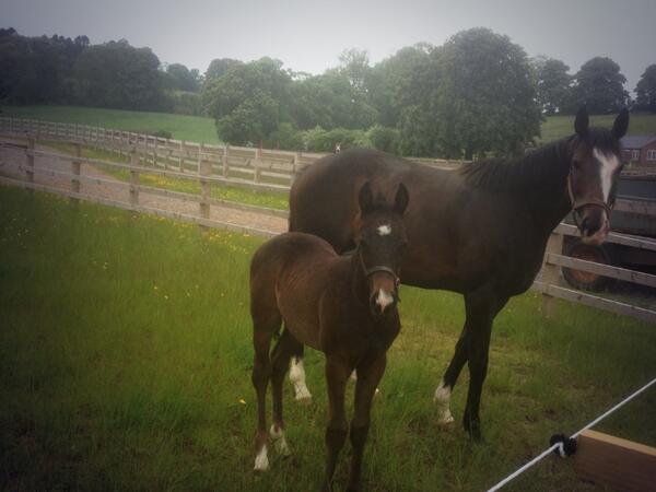 <a href="/KnaggsDavid/">David Knaggs</a>  Remember me?!!