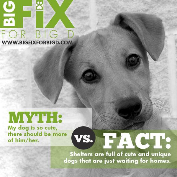 Big Fix for Big D (@BigFix4BigD) / Posts / X