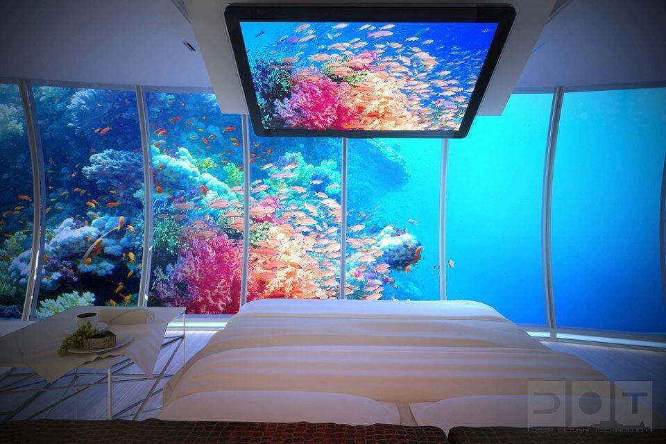 That's Earth on Twitter "Amazing under water bedroom at Bora Bora