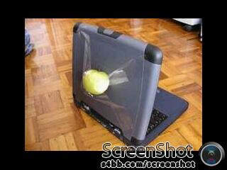 RT <a href="/mandortawa/">indraputra</a>: Mau jual laptop apel dengan harga miring,minat DM aja  bit.ly/14U5yLT