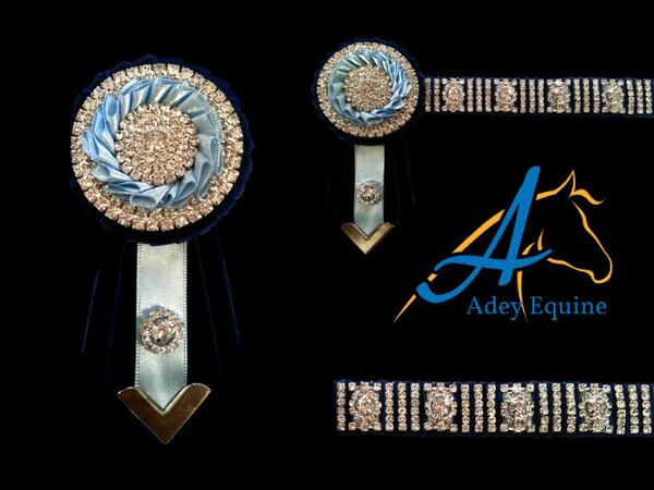 EquineAdey's tweet photo. New chain! This will be part of the Platinum range. #Equestrian #equine #equestrianstyle http://t.co/Txi0ZWHiLE