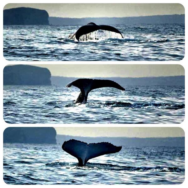 Great shot from Sunday afternoon's adventure.