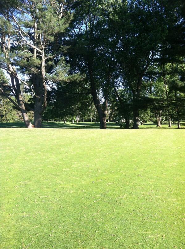 Pine Hollow Greens tweet media