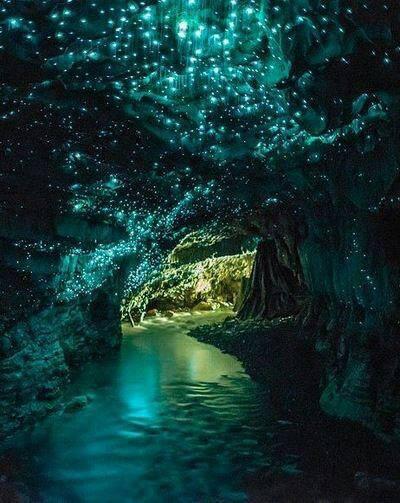 天空の城ラピュタのワンシーンのような洞窟】 ニュージーランドにある土ボタルが観れる洞窟「ワイトモ洞窟」だよ！！　