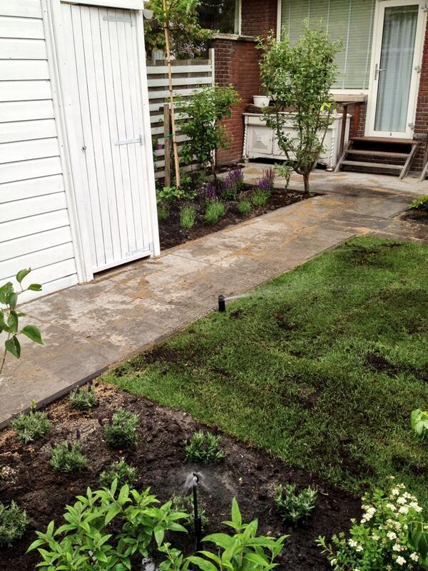 Project #rotterdam klaar ! Erg leuke tuin met fantastische bewoonster! Bedankt voor de goede zorg