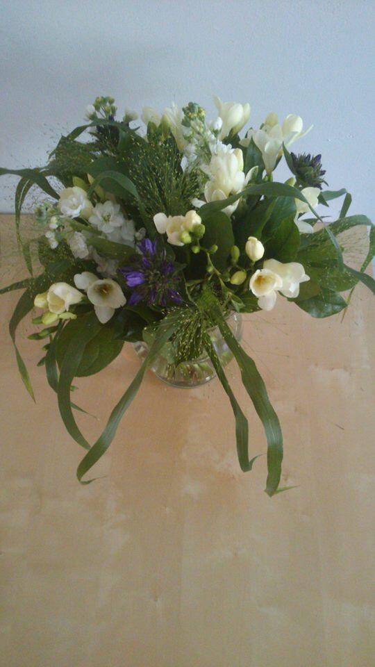 Sam97_Albeda's tweet photo. Ons kantoor ziet er weer mooi uit met dit prachtige bloemetje van @MooisvanMooy http://t.co/NXCys1fTAw