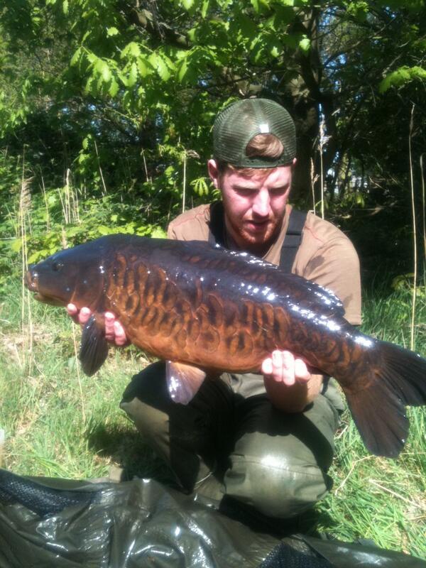 Adji_Freebs's tweet image. @essentialbaits Shelfish b5 victim