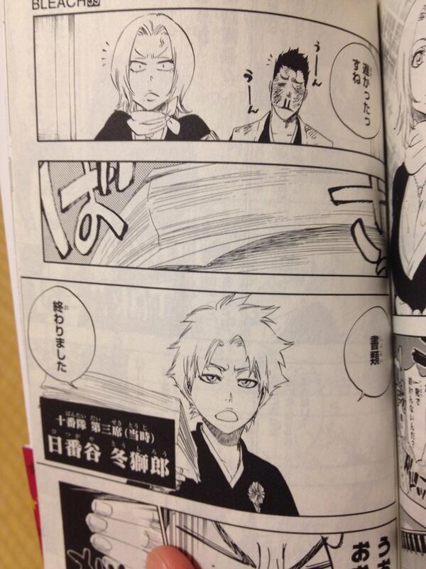 Bleach 日番谷冬獅郎まとめ 斬魄刀と真の卍解とは 雛森など死神との関係も 7ページ目 Selvy