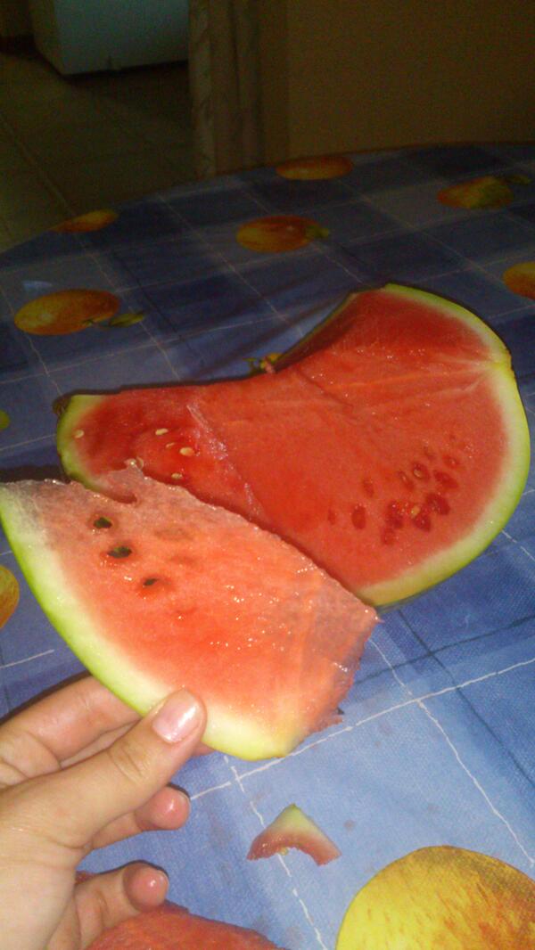 Mmm mejor que una orgía de modelos brasileñas <a href="/cb_san/">サクア（TRPGについてしか話さないすがた）</a>