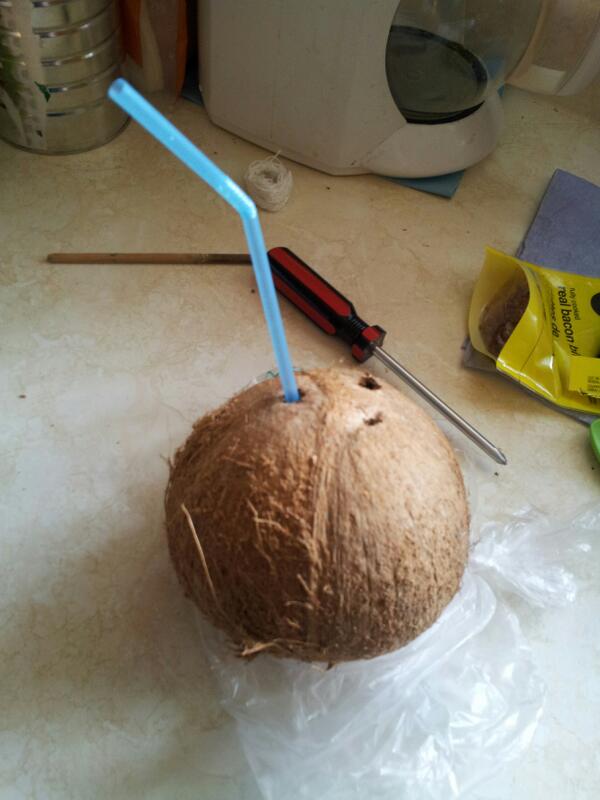 BlueSonikku's tweet image. Everyone else was trying to shake the juice out of their coconut.  Was I the only one to think of this? #MonkeyLogic