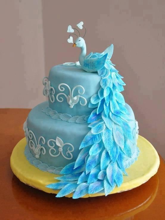 cometaa tweet picture