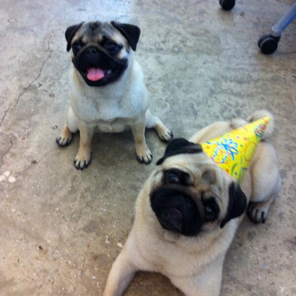 Even my niece Jorgie is in town for the party... EPIC!