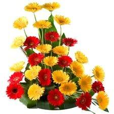DrippinInColor's tweet image. #spankthedaisies 
laroyalflorist.com/Gerbera-Shine-…