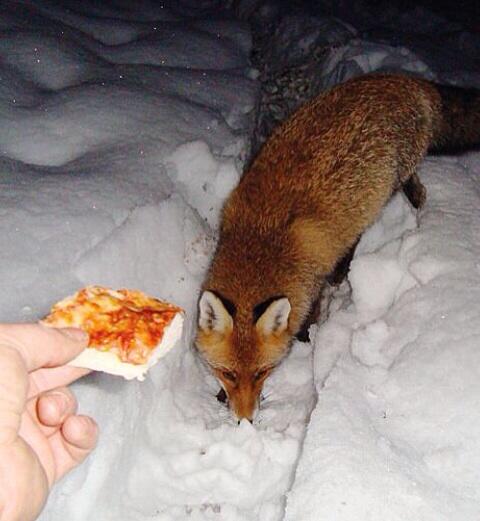 ValconvVale's tweet image. È stata un esperienza fantastica e lo è tutt'ora  timidamente ha preso quel pezzo e poi se ne é andata via