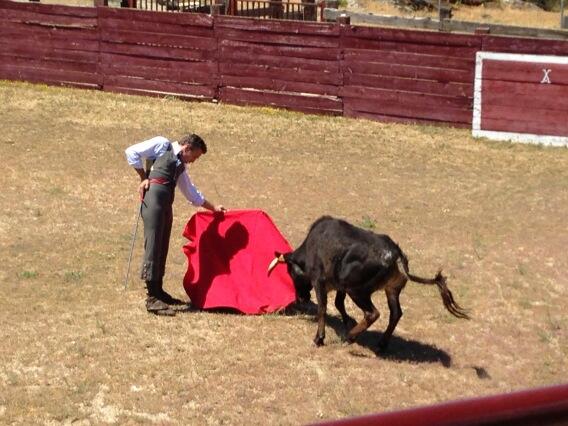 Enlace permanente de imagen incrustada