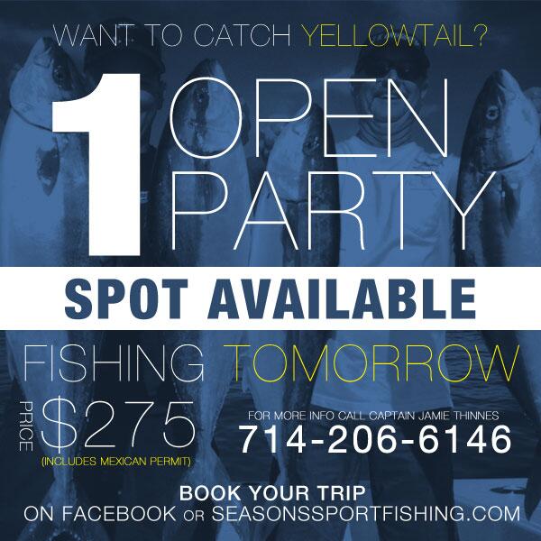 SeasonsFishing's tweet photo. Hey guys!  We have 1 spot open on a yellowtail trip tomorrow!  Permit included.  Go get em boys give us a shout! http://t.co/2LwYwgh9Hl