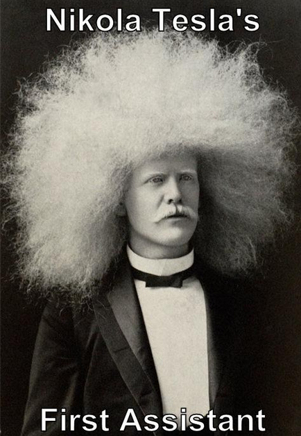 Sir_Tesla's tweet photo. My first assistant http://t.co/DuFDnvzltA