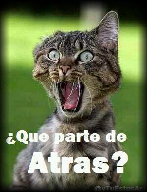 UnAlumnoDice's tweet photo. -Jajaja terminé el examen primero - ¿Y qué pusiste en la pregunta N° 6 de la parte de atrás? - http://t.co/SiQJKZtTXr