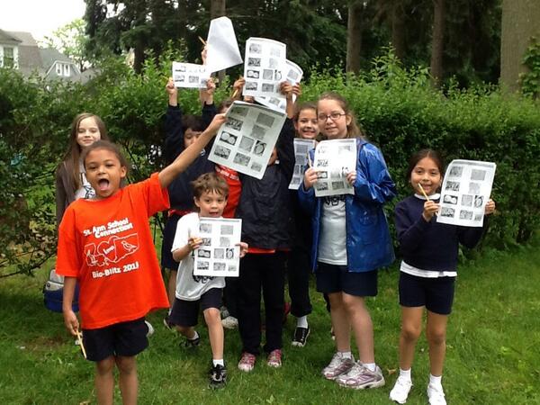 StAnnAcademy's tweet photo. #bioblitz field work http://t.co/s8aoAbgazJ