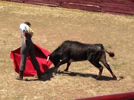 Enlace permanente de imagen incrustada