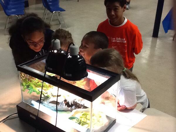 StAnnAcademy's tweet photo. Biodiversity University #bioblitz http://t.co/jorA6EdBBf