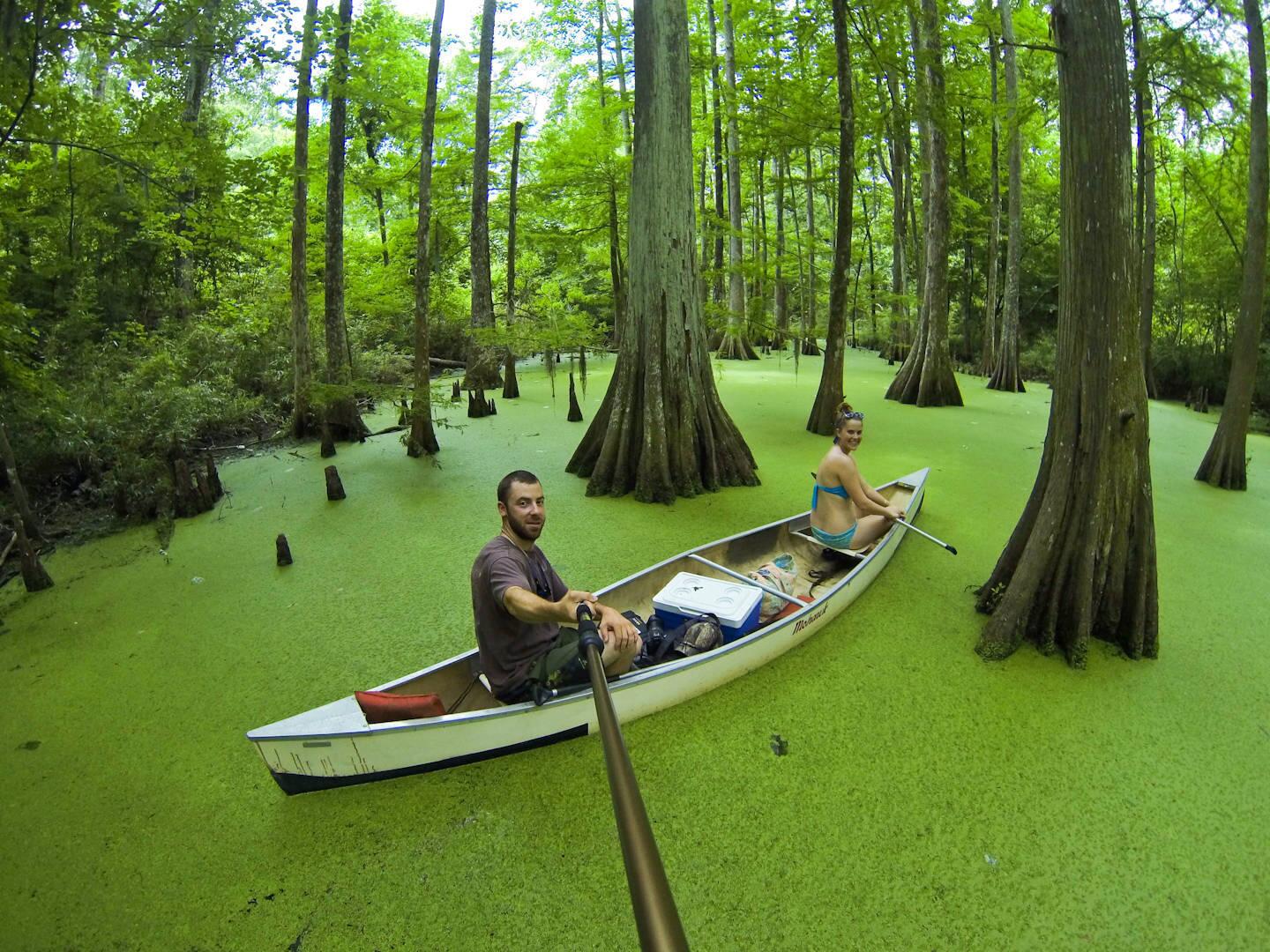 GOPRO природа