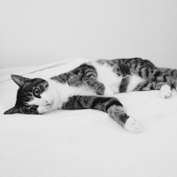 maxcory69's tweet photo. #Oly http://t.co/csYpNhWIXt