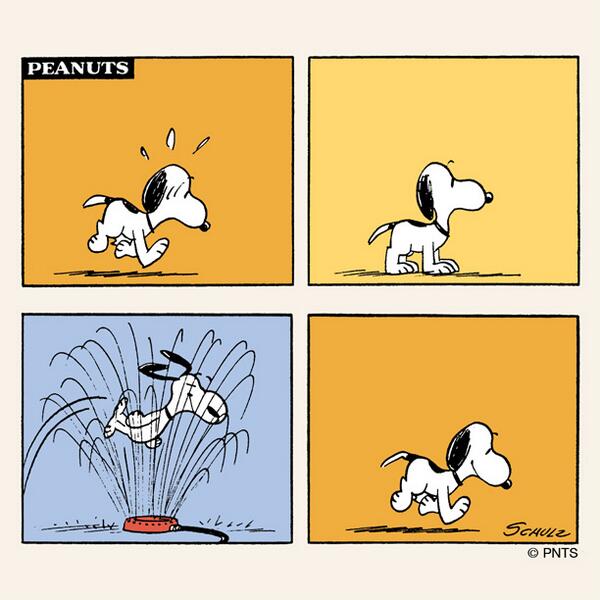 images Snoopy Thursday Pictures peanuts on twitter thursday with
