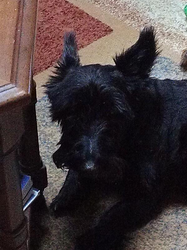 Gloria warren tweet media