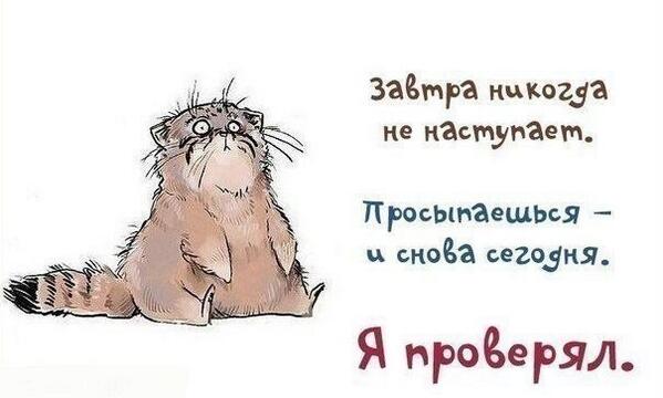 Завтра мне нужно сегодня. Смешные фразы про среду. Юмор про работу. Смешные высказывания про среду. Смешные открытки про работу.